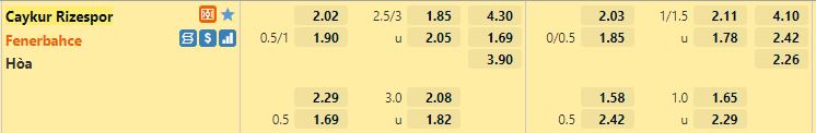 Ty le keo Rizespor vs Fenerbahce