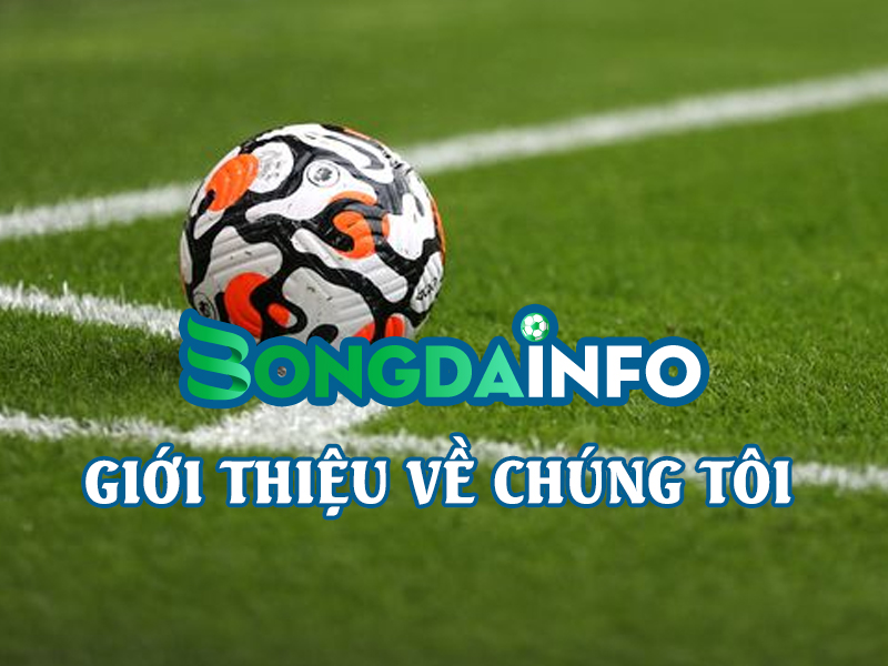 gioi-thieu-ve-chung-toi-bongdainfo-com