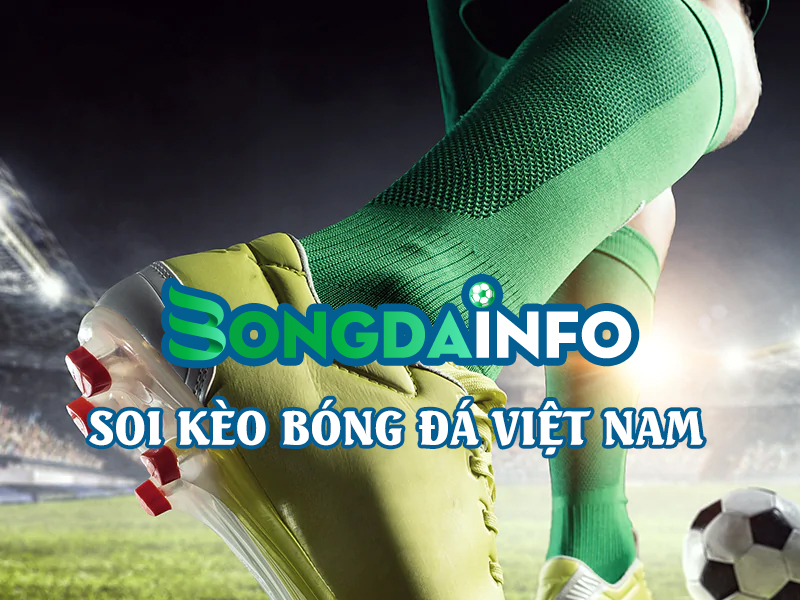 soi-keo-bong-da-viet-nam-bongdainfo-com