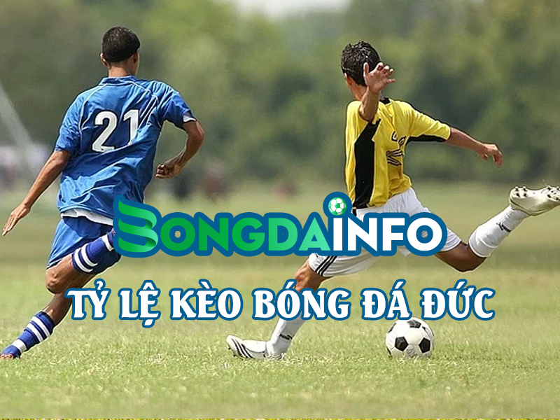  ty-le-keo-bong-da-duc-bongdainfo-com