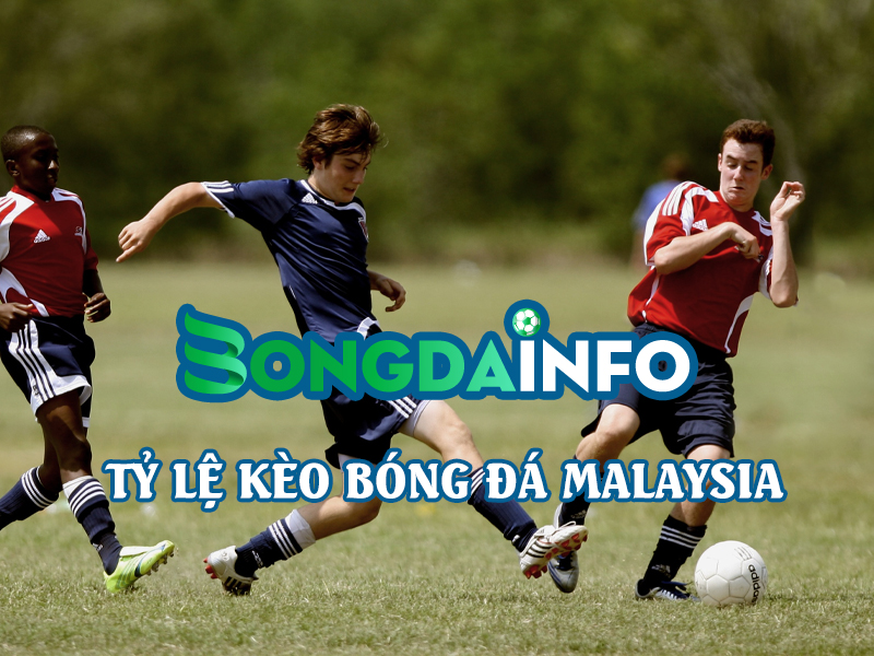 ty-le-keo-bong-da-malaysia-bongdainfo-com
