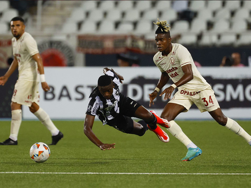 Soi kèo Universitario vs Botafogo lúc 5h00 ngày 17/5/2024