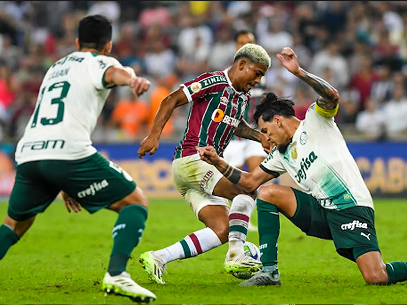 Soi kèo Fluminense vs Palmeiras lúc 7h30 ngày 25/7/2024