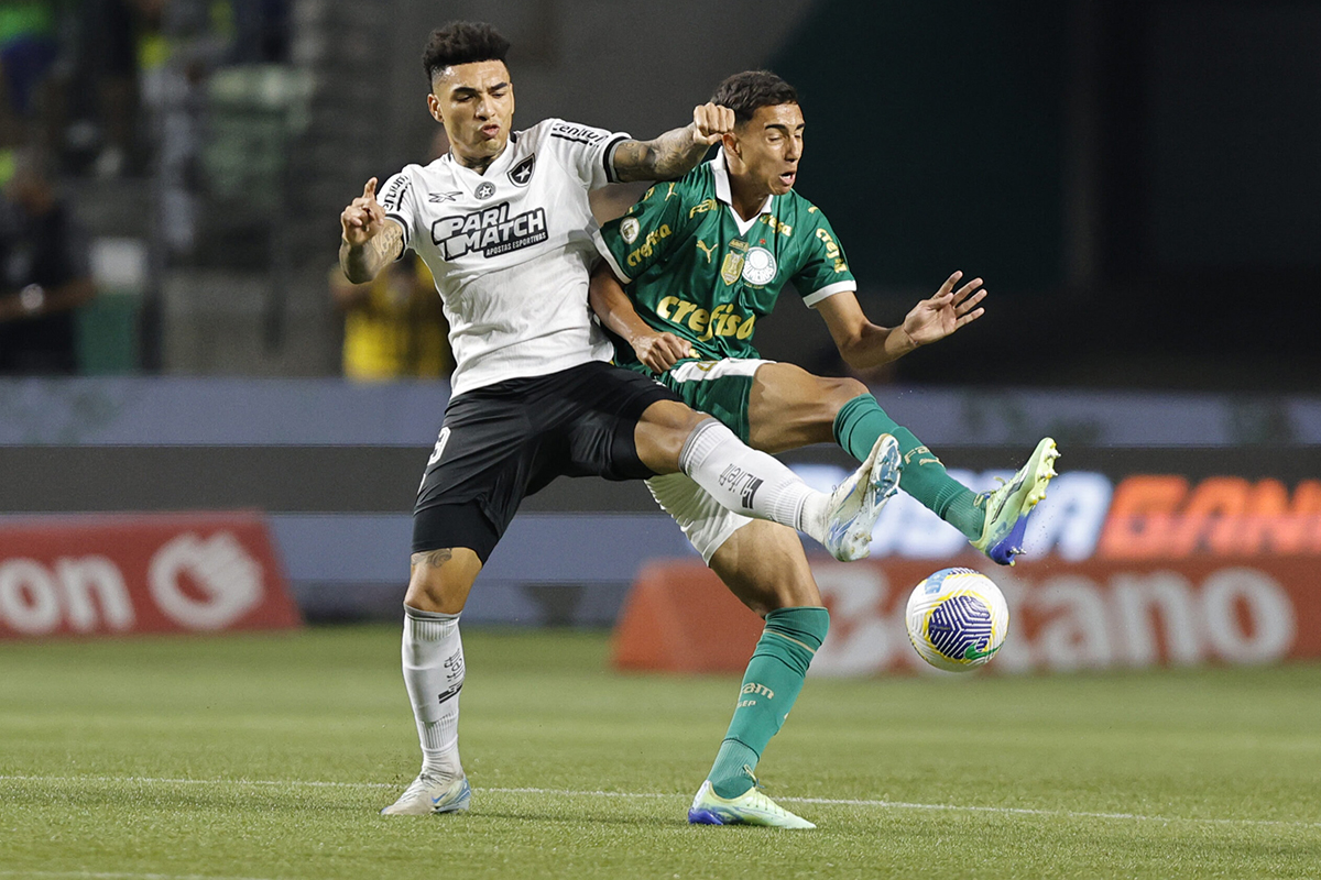 Soi keo Botafogo vs Palmeiras