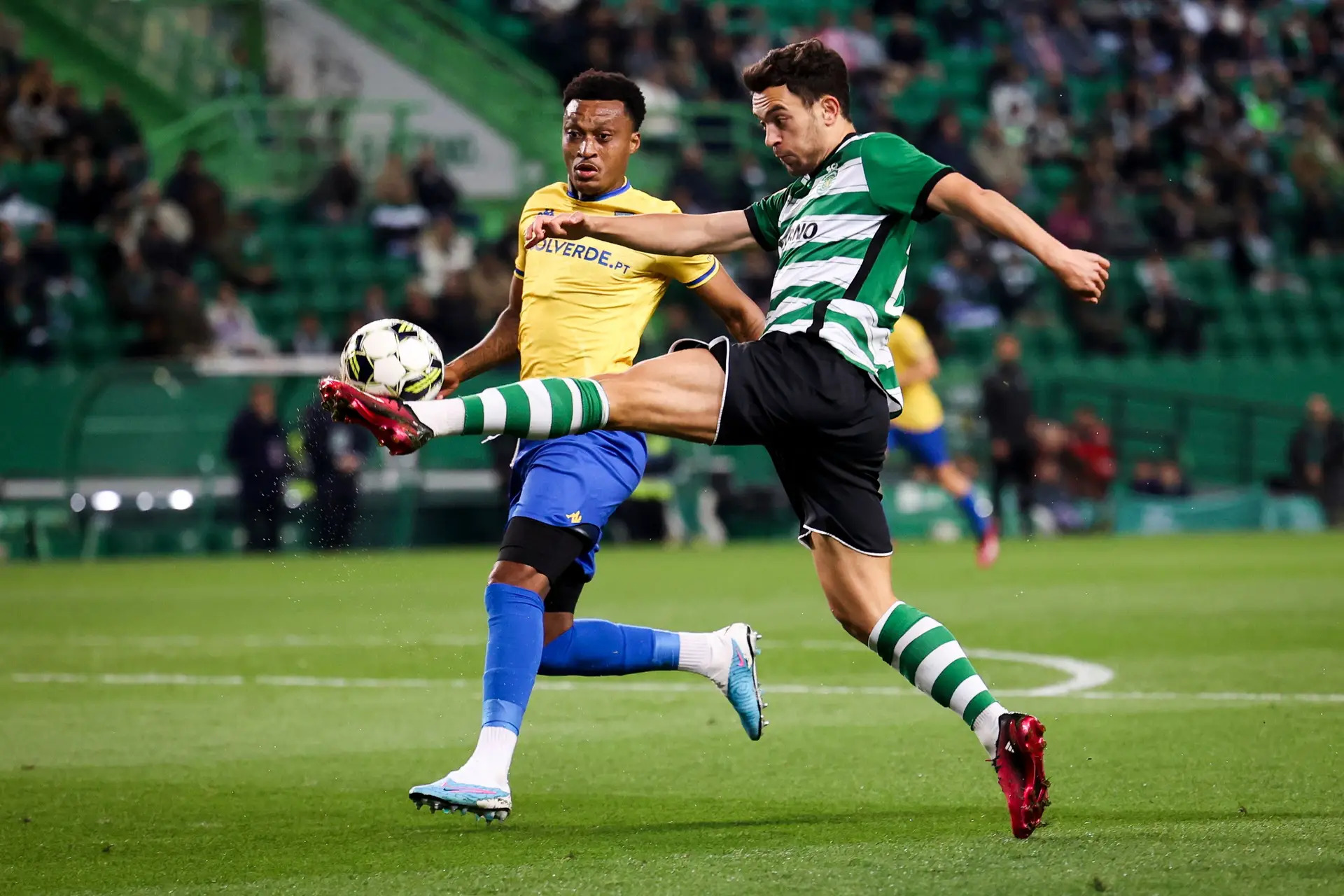 Soi kèo Sporting Lisbon vs Estoril
